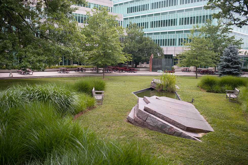 Slated rocks in a courtyard with a dark pond, surrounded by grass, shrubbery, and trees.